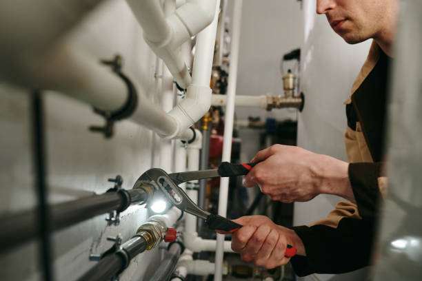 Best Best Plumbers Near Me  in Ovid, MI