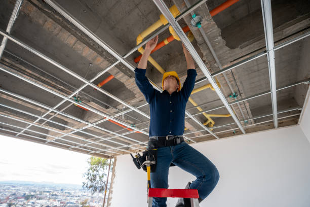 Best Emergency Plumbing Repair  in Ovid, MI