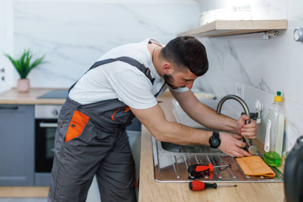 Best Local Plumber Services  in Ovid, MI
