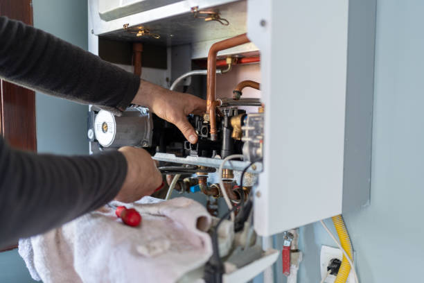 Best Clogged Drain Plumber  in Ovid, MI