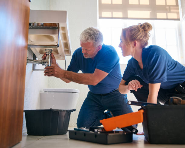 Best Sprinkler Systems  in Ovid, MI