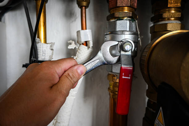 Best Plumbing Installation Services  in Ovid, MI